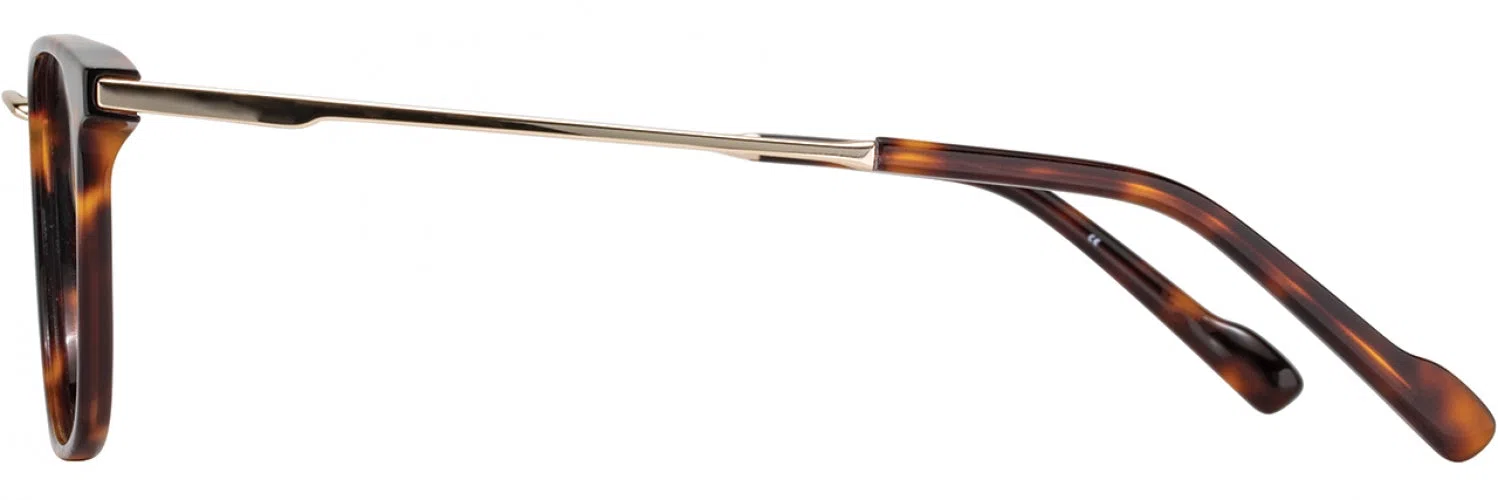 Scott Harris UTX SHX022 Eyeglasses - view 8